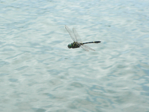 e0002314_15574477.jpg