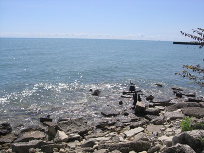 f0127915_9201496.jpg