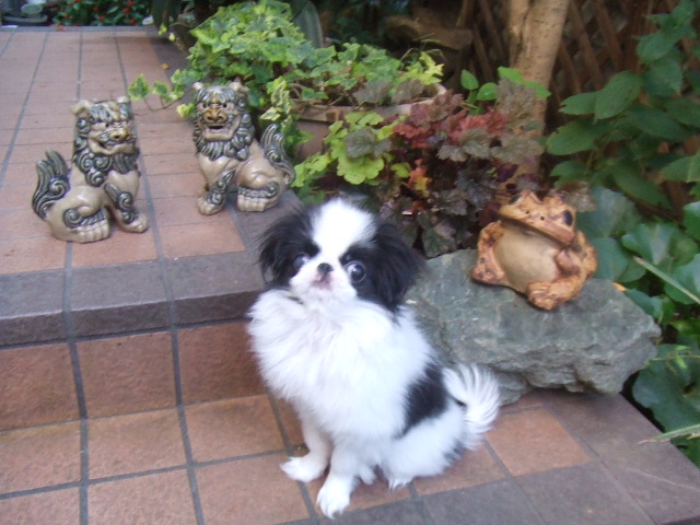 c0200916_15111674.jpg