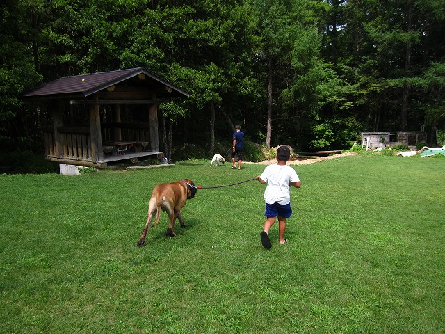 e0192217_16474778.jpg