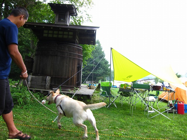 e0192217_1651231.jpg
