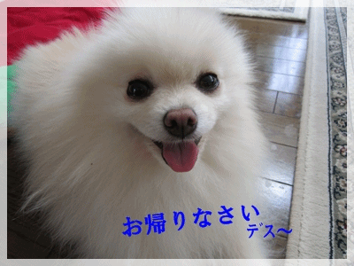 b0167519_93234.gif