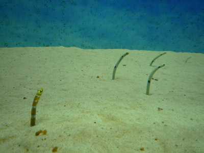 c0227720_23343897.jpg