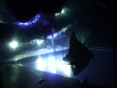 c0227720_23391381.jpg