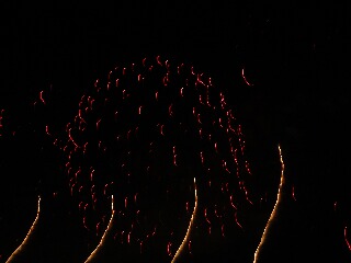 f0181524_15582968.jpg