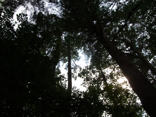 b0212828_9185241.jpg