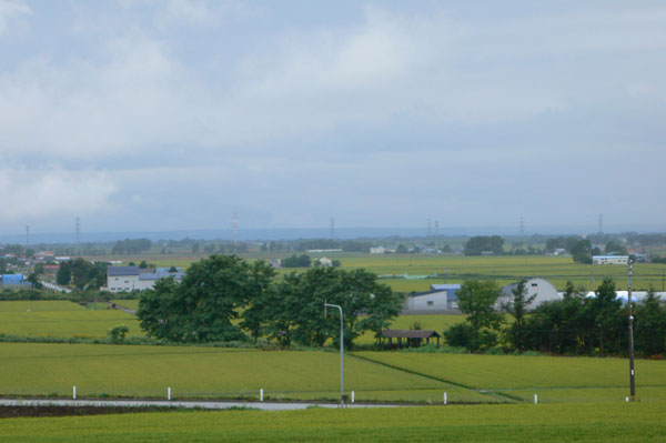 a0046429_202759100.jpg
