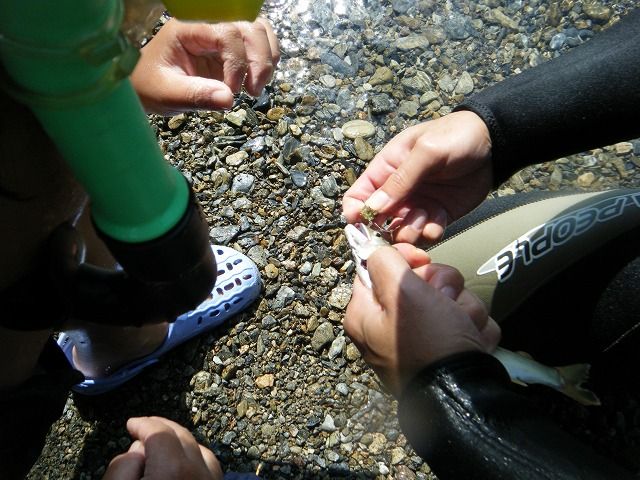 b0127531_20111885.jpg