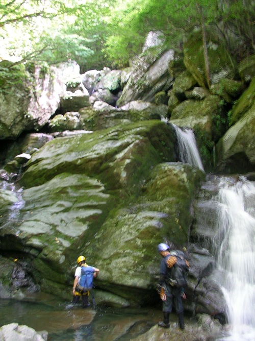 b0005432_0431893.jpg
