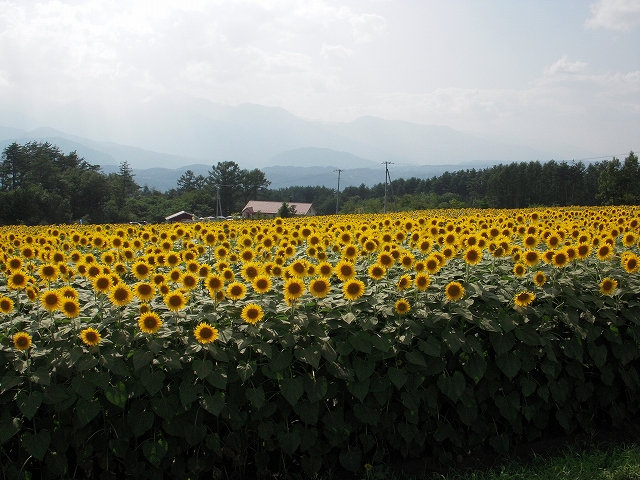 c0114833_23124596.jpg