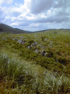 c0199535_146617.jpg