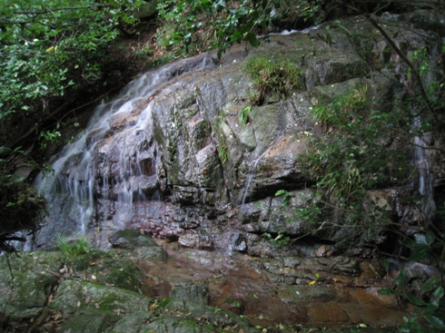 c0077338_21472530.jpg