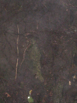 c0077338_2150241.jpg