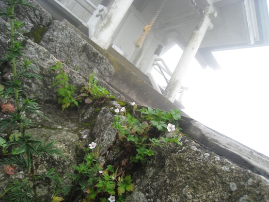 c0077338_22123711.jpg