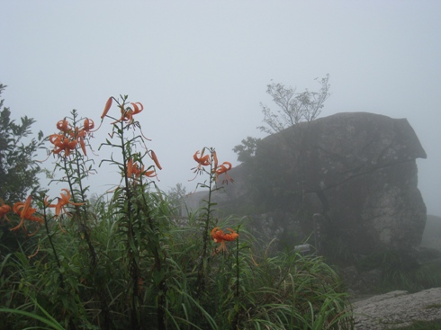 c0077338_22125437.jpg