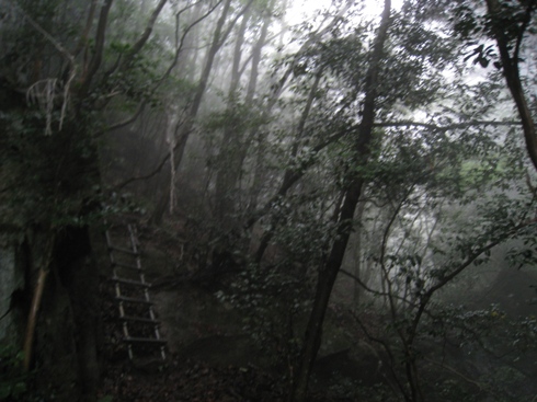 c0077338_2272426.jpg