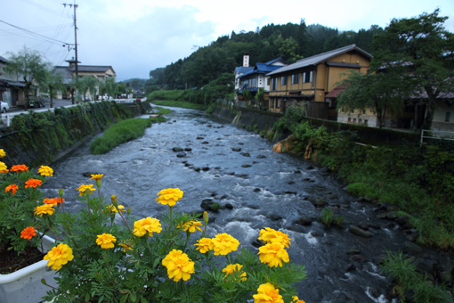 d0028138_1417158.jpg