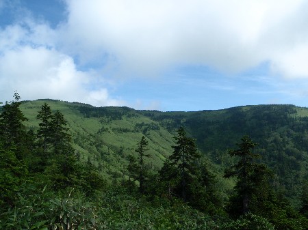 d0107938_12272513.jpg