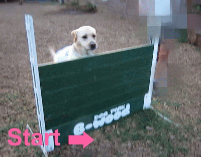a0142343_16472729.gif