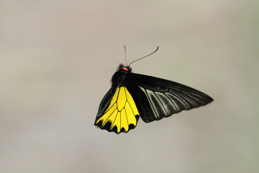 a0094850_13553335.jpg