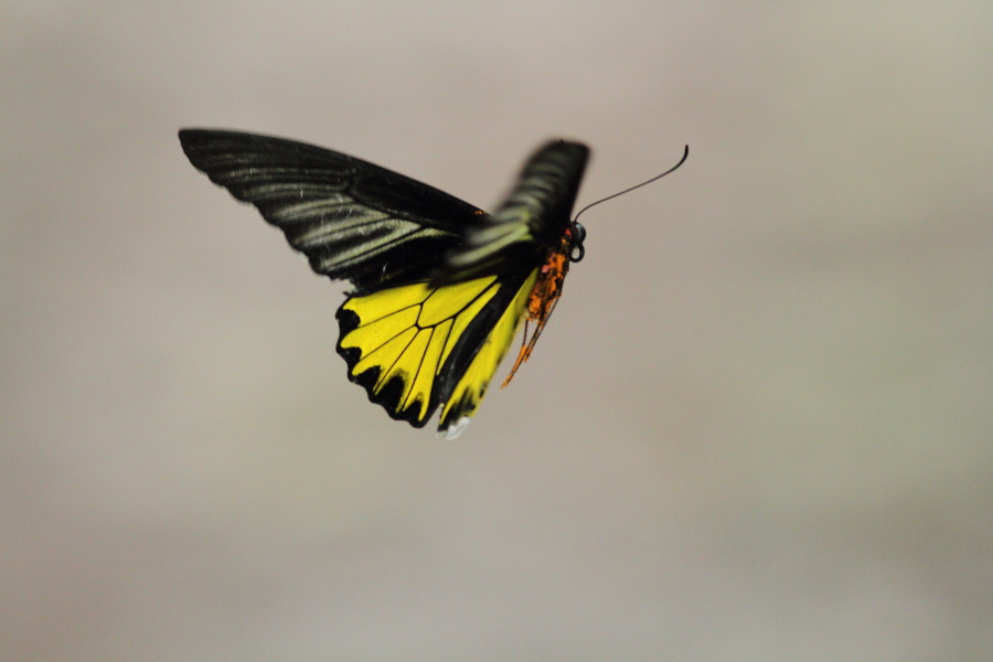 a0094850_1355455.jpg