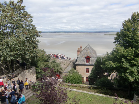 c0206352_533576.jpg