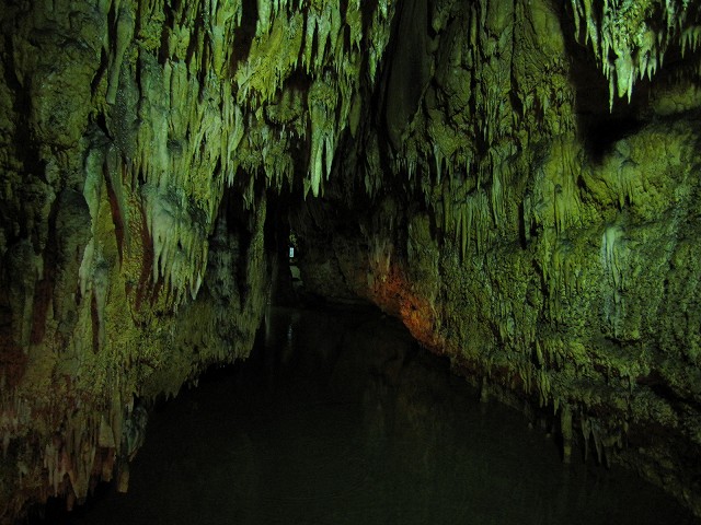 d0031853_16323471.jpg