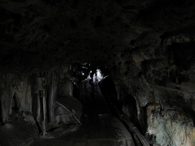 d0031853_1632508.jpg