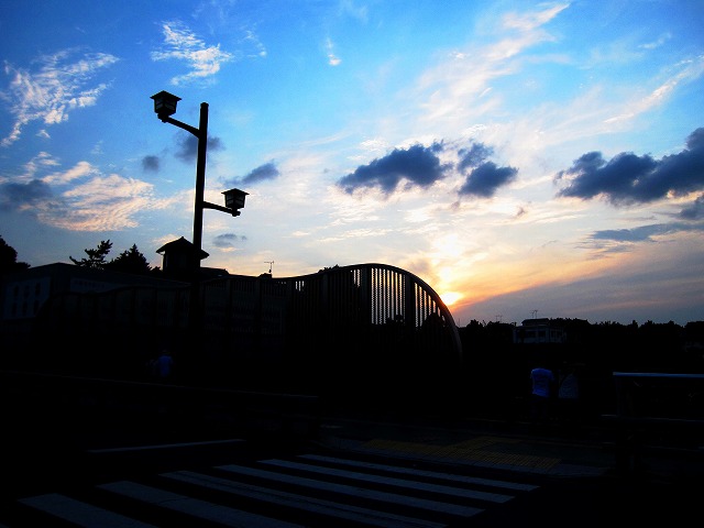 a0188456_2003130.jpg