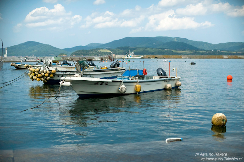 d0080957_019529.jpg