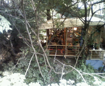 a0181459_1550105.jpg