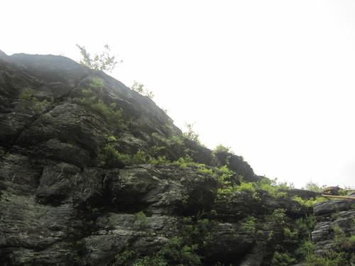 d0194759_2095031.jpg