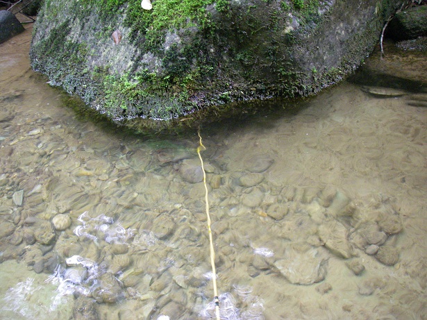 f0212059_23384863.jpg
