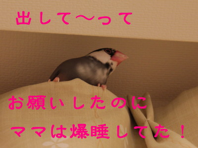 b0158061_21461313.jpg