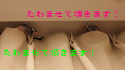 b0158061_2146310.jpg