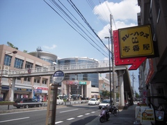 d0083265_1662598.jpg