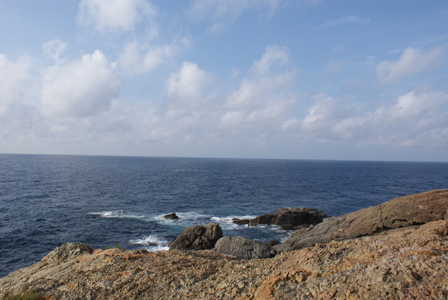 a0091666_16572886.jpg