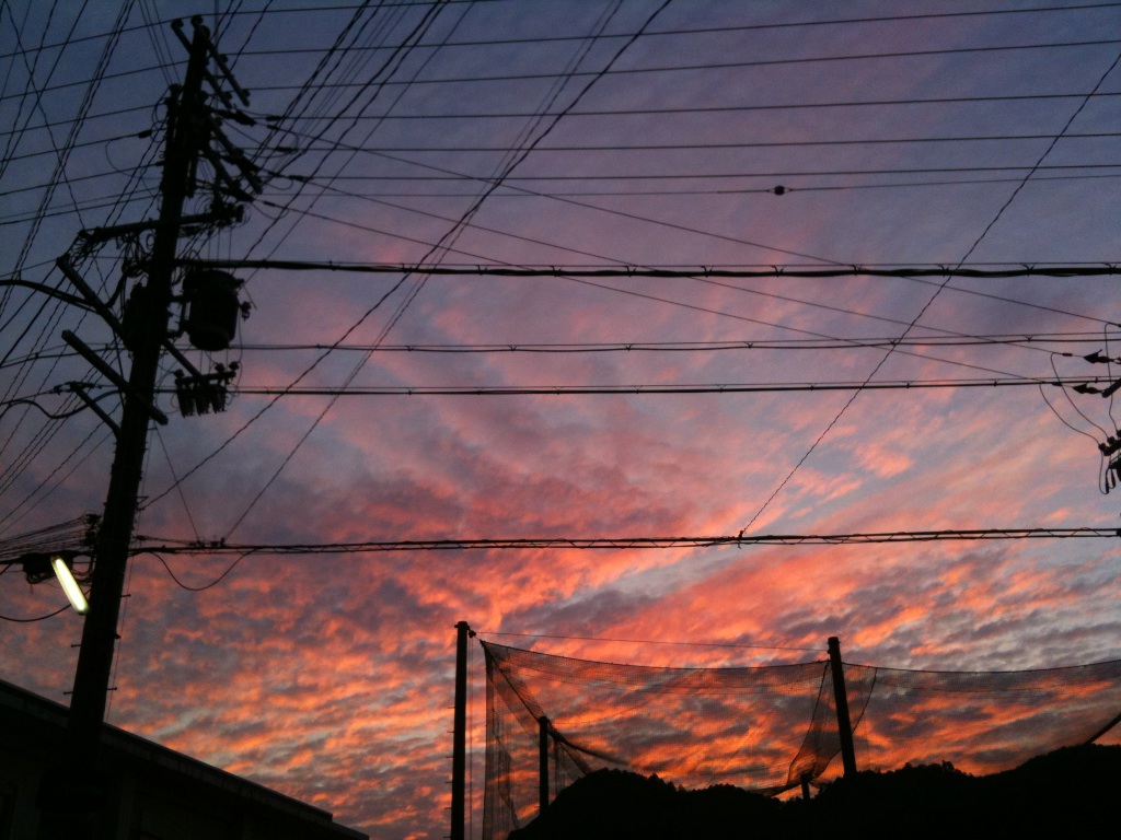 d0202167_195359.jpg