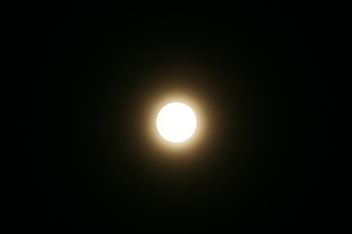 f0107072_22283274.jpg
