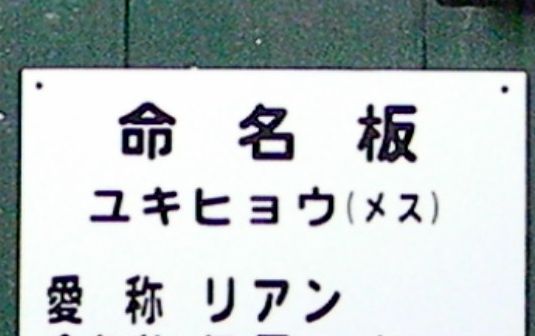 b0014576_1135118.jpg