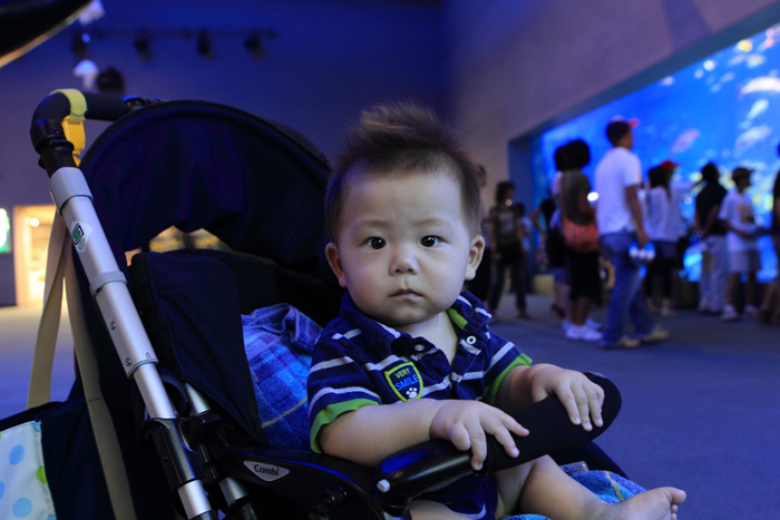 c0008378_2143969.jpg