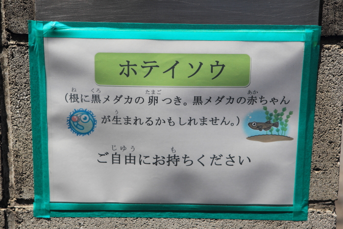 c0008378_6534490.jpg