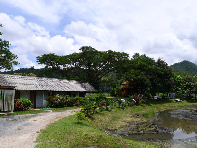 f0178278_10331531.jpg