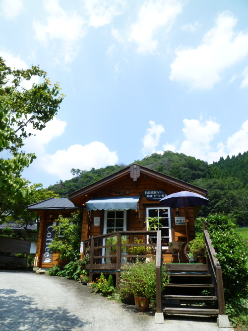 d0179983_94927.jpg