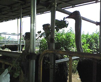 c0014187_2004026.jpg