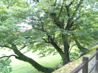 d0143192_18302783.jpg