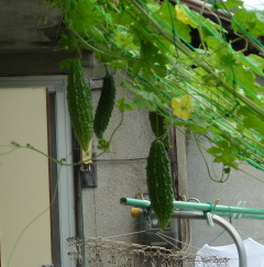 f0166694_1895949.jpg