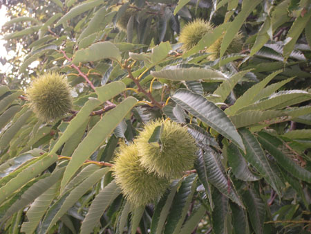 b0078597_1854599.jpg