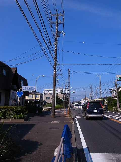 d0081997_200983.jpg