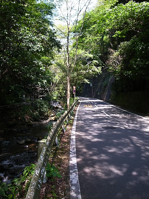 d0081997_20142110.jpg